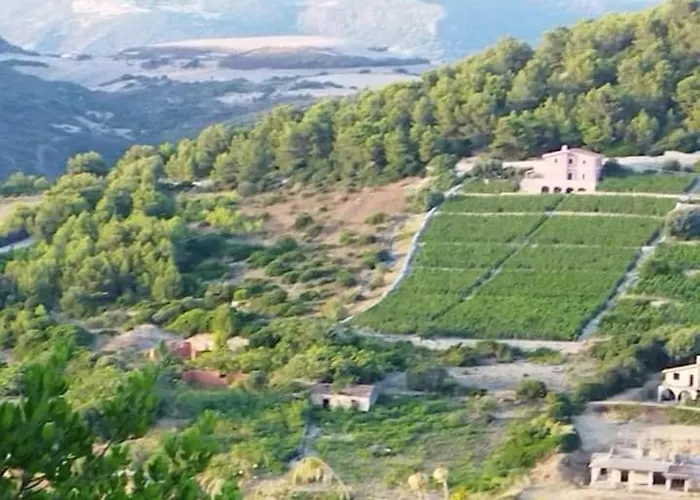 Bed & Breakfast Ammentos Magomadas